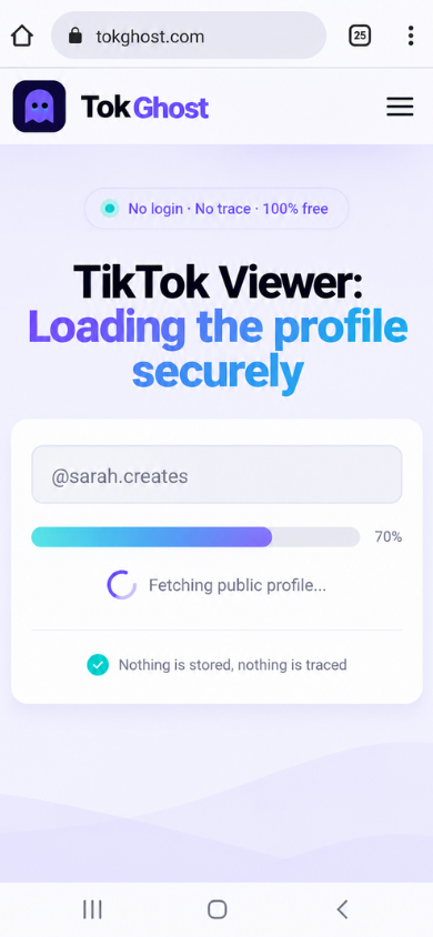 TikTok Viewer step 2 - TokGhost securely loading the public profile