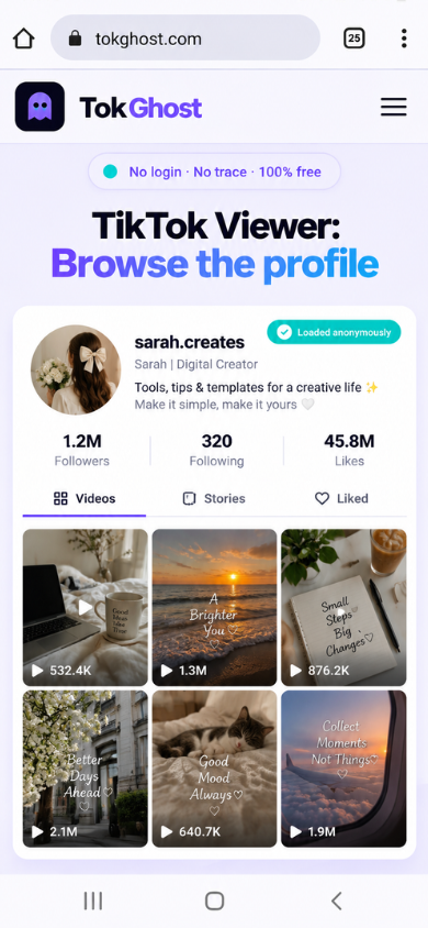 TikTok Viewer step 3 - browse TikTok profile videos, followers and likes anonymously